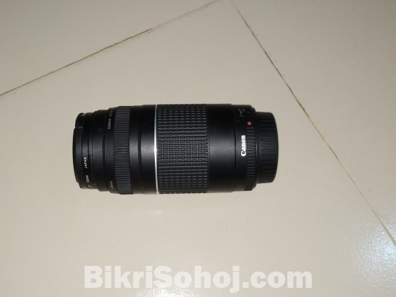 Canon 75-300 zoom lense